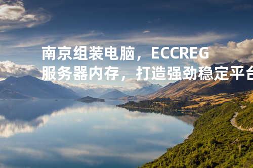 南京组装电脑，ECC REG服务器内存，打造强劲稳定平台