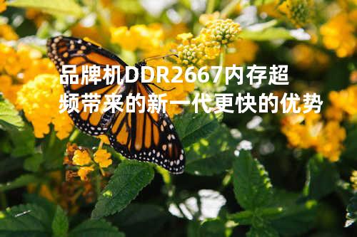 品牌机DDR2 667内存超频带来的新一代更快的优势
