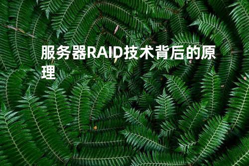 服务器RAID技术背后的原理