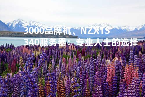3000品牌机、NZXT S340服务器：专业人士的选择