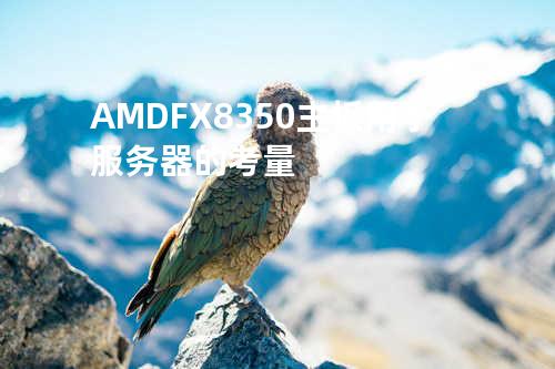AMD FX 8350主板用于服务器的考量
