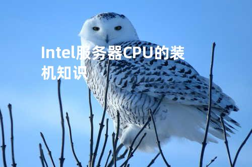 Intel服务器CPU的装机知识